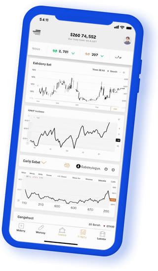 Mien Kimvinh digital web application on mobile device